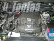   Toyota Land Cruiser Prado -  